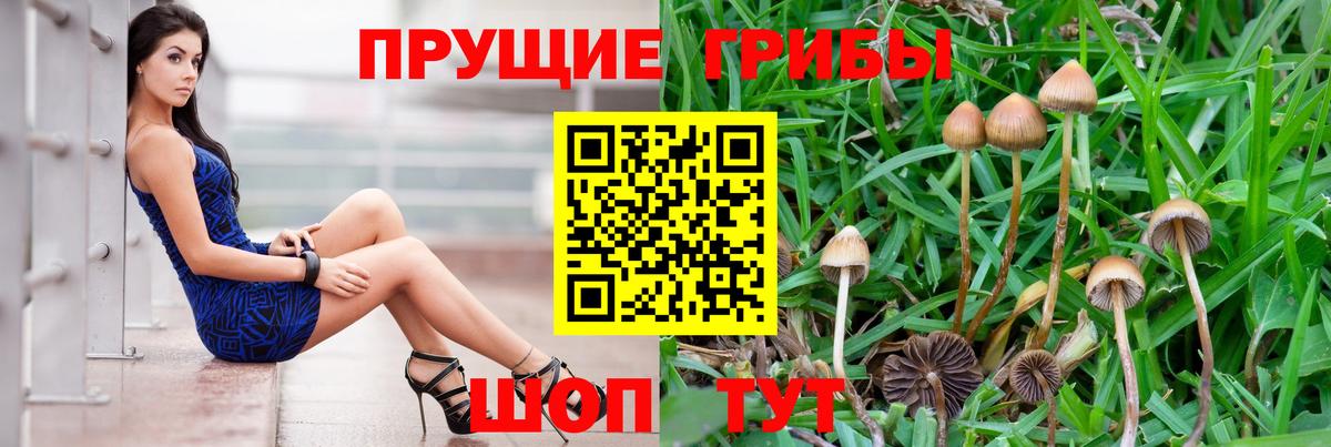 Галлюциногенные грибы MAGIC MUSHROOMS Михайловка